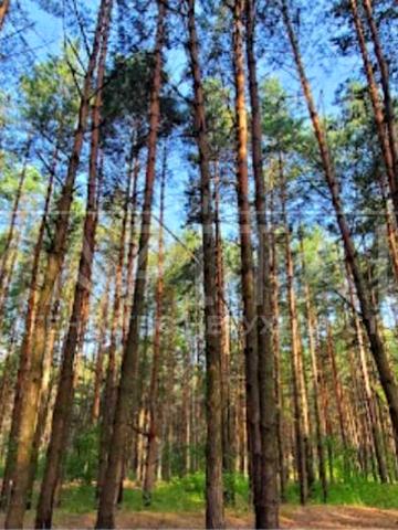 Ясногородка, Вишгородський, Київська область 145485 USD