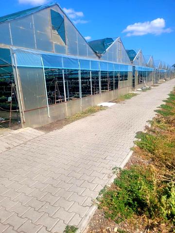 30 років Перемоги пров., 1