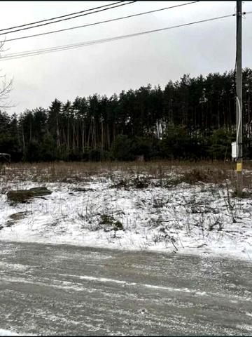 Любимівка, Бучанський, Київська область 35000 USD