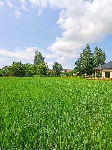 Слобідська