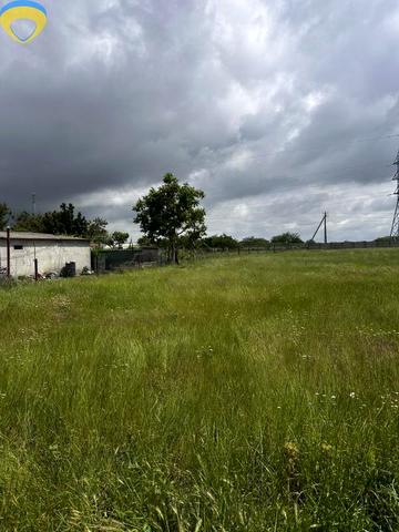 Визирка, Одеський, Одеська область 8000 USD