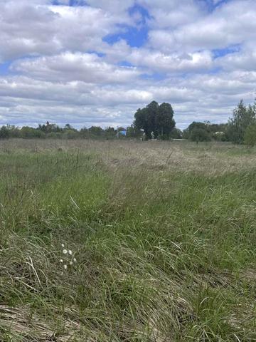 Займище, Бориспільський, Київська область 25000 USD