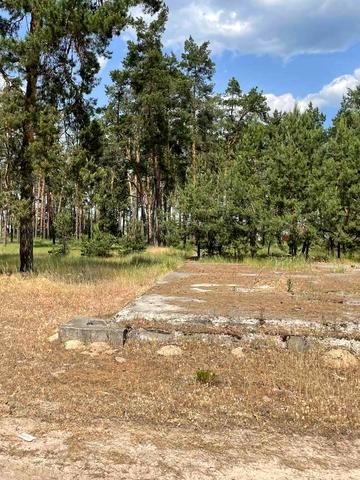 Нижча Дубечня, Вишгородський, Київська область 12200 USD