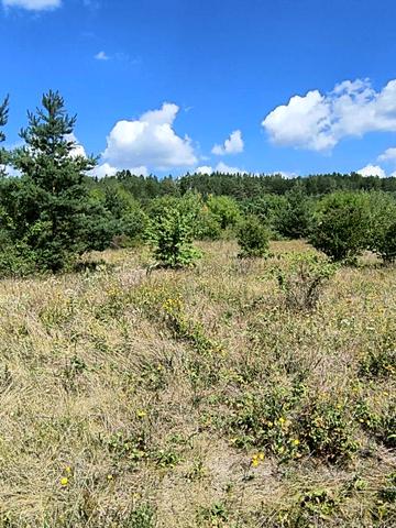 Рудківці, Камянець-подільський, Хмельницька область 6500 USD