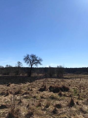 Передмістя, 155