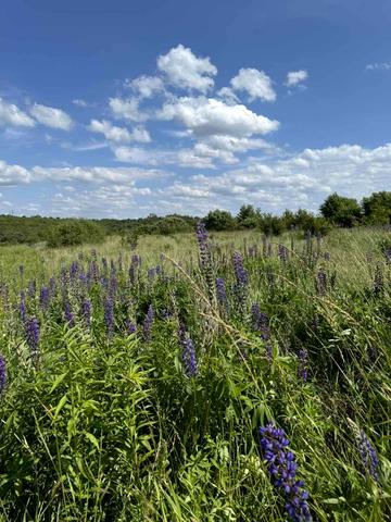 Малечковичі, Львівський, Львівська область 170000 USD