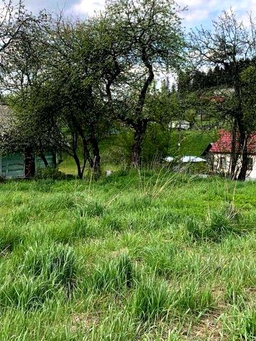 Продам будинок з земельною ділянкою 25сот смт. Східниця