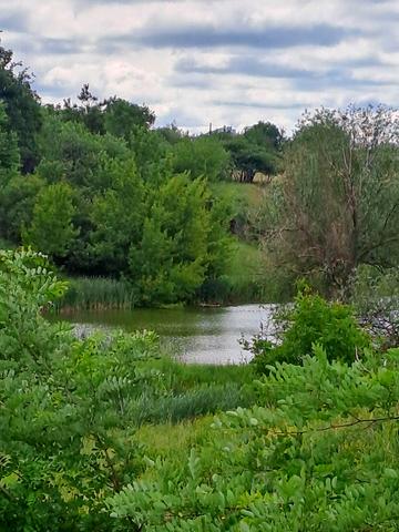 Молодіжна, 2/27