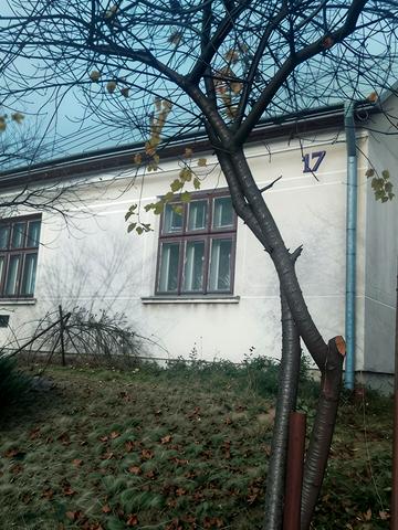 Дмитра Яворницького, 17