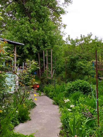 Новоселецька