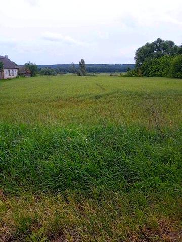 Приватний будинок