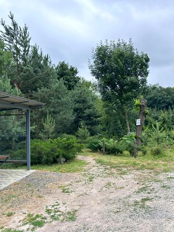 Масив Рибаче