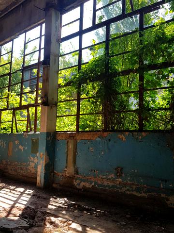 Захисників України вул. (Пушкіна), 26