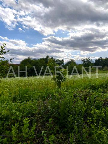Циганівці, Ужгородський, Закарпатська область 6500 USD