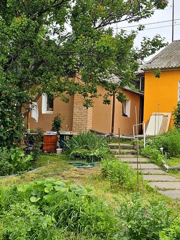 Князя Володимира Ольґердовича пров. (Червоний)