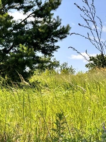 Ентузіастів