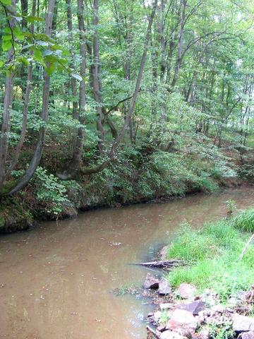 Продаж добротної дачі Бобровський -2