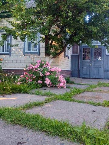 Продам житловий будинок в селі  Талалаївка 11км від Ніжина .