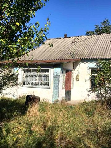 Завгороднього