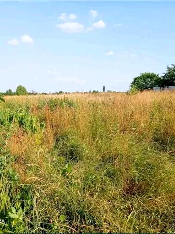 Гурівщина, Бучанський, Київська область 25000 USD