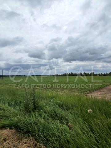 Безуглівка, Бориспільський, Київська область 500000 USD