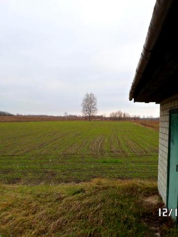 Будинок із зручностями  в Чернігівській області