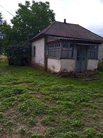 Земельна ділянка 25 соток в мальовничому селі всього 50 км від Києва