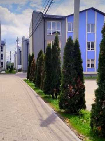 Джерельна вул., 5