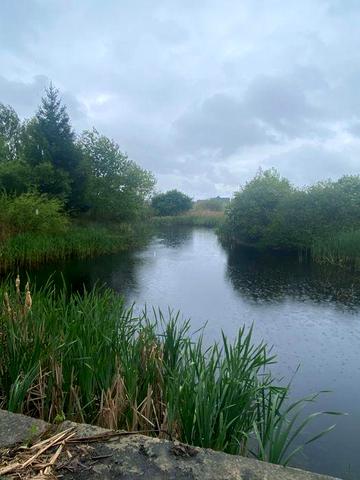 Продам житловий будинок