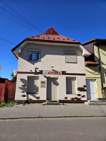 Миколи Леонтовича вул., 116