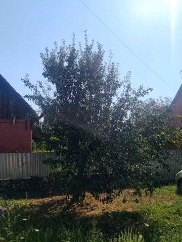 Продам будинок в смт. Вилок