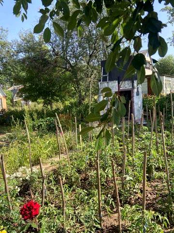 Продам дачу в Подворках