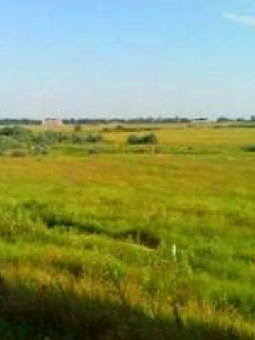 Траса М-05 Київ-Одеса