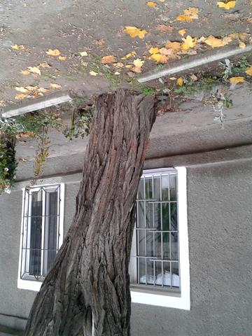 Павла Клепацького вул., 18