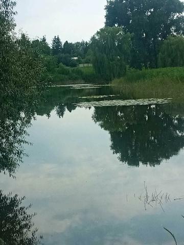 Вінницькі стави, Білоцерківський, Київська область 18000 USD