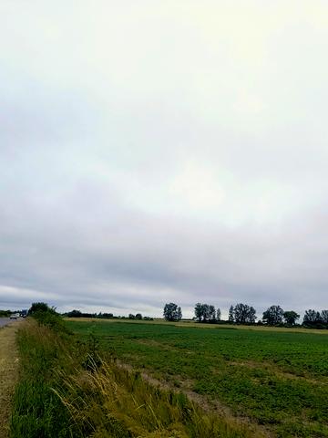 Черлянське Передмістя, Львівський, Львівська область 26000 USD