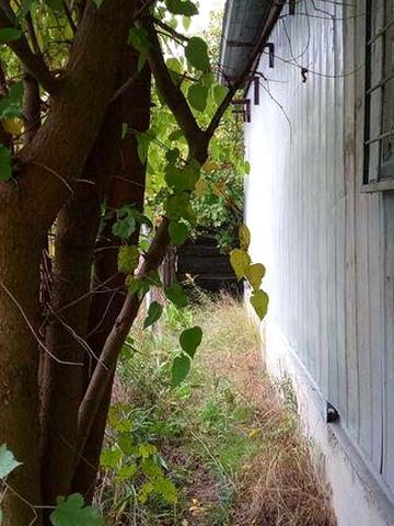 Продам дачу у Броварському районі