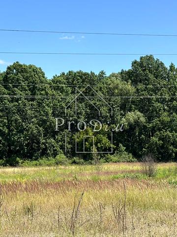 Шевченка, 37