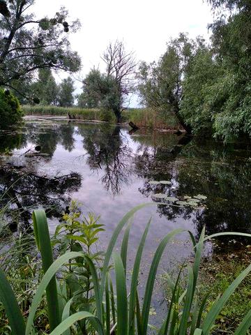 Будинок с.Матвіївка, 150 км від Києва (під виплату чи обмін на авто)