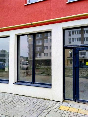 Володимира Великого вул., 5