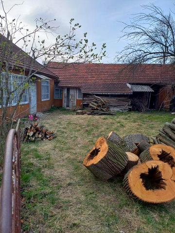 Будинок, господарська будівля, присадибна ділянка.