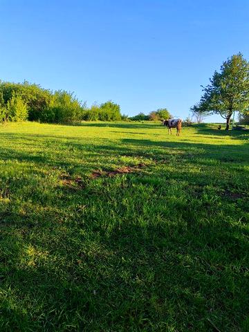 Продам житловий будинок в Мерефі