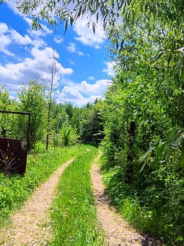 Поршна, Львівський, Львівська область 43000 USD