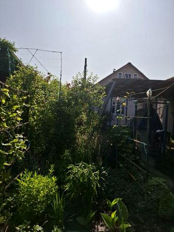 Продається добротний будинок в смт Іларіоново (Яворницьке)