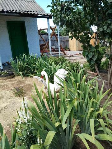 Продам будинок в центрі міста