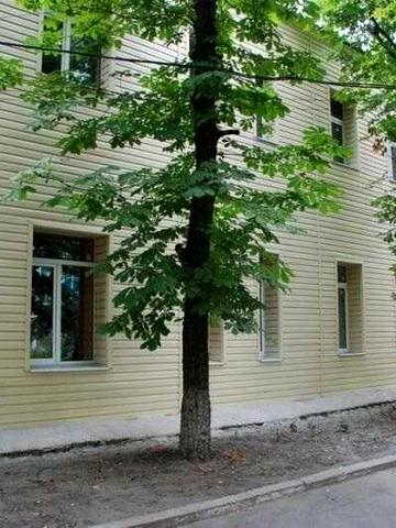 двухуровневая квартира студия