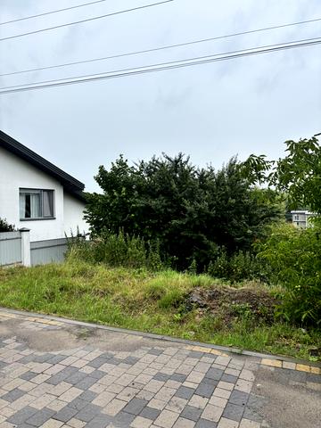 Солонка, Львівський, Львівська область 52000 USD