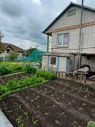 центральна