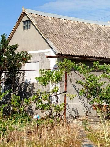 центральна