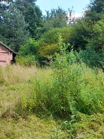 Молодіжна вул.